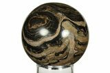 Polished Stromatolite (Greysonia) Sphere - Bolivia #227073-1